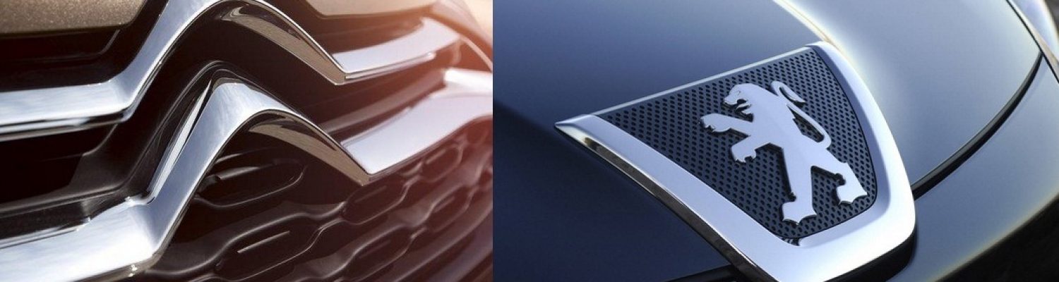 ingnesa-scanner-peugeot-y-citroen